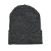 Шапка CARHARTT демисезонная 183880613
