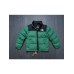 брендовый укороченный зимний пуховик TNF 251862967