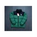 брендовый укороченный зимний пуховик TNF 251862967